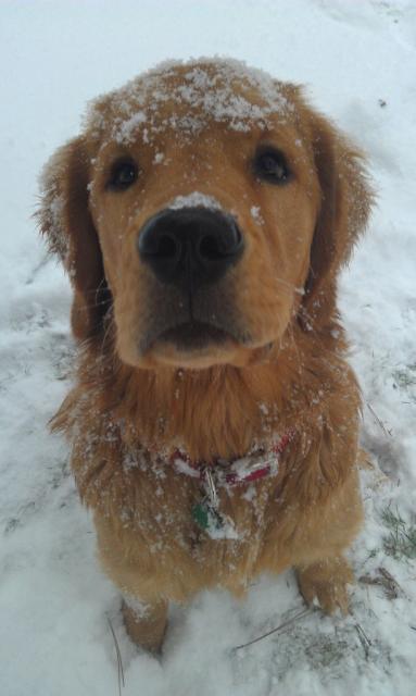 Trucker's first winter