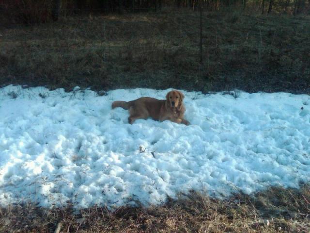 Trucker at One Year