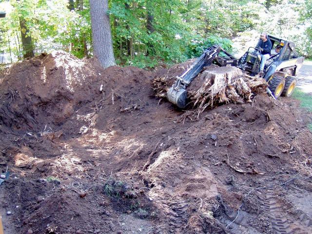 removal tree stumps